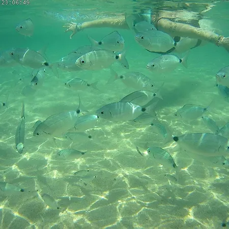 公寓 Casa Tribolati