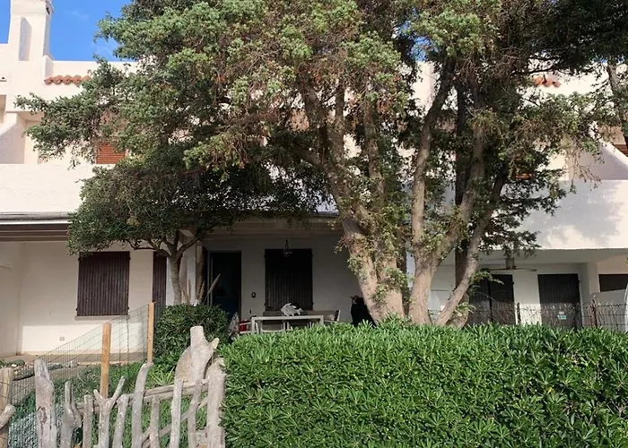 Daire Casa Tribolati